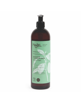 法國品牌 Najel 有機2合1阿勒坡洗髮水+護髮素 (乾性髮質) 2 in 1 Aleppo Soap Shampoo for Dry Hair