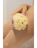 【柔軟有彈性】法國 NAJEL 天然地中海絲海棉 Natural Mediterranean Silk Sponge 9-10 cm