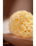【柔軟有彈性】法國 NAJEL 天然地中海絲海棉 Natural Mediterranean Silk Sponge 9-10 cm