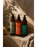NAJEL 東方琥珀香氛沐浴露・溫暖木香 500ml ｜Oriental Amber Fragrance Shower Gel
